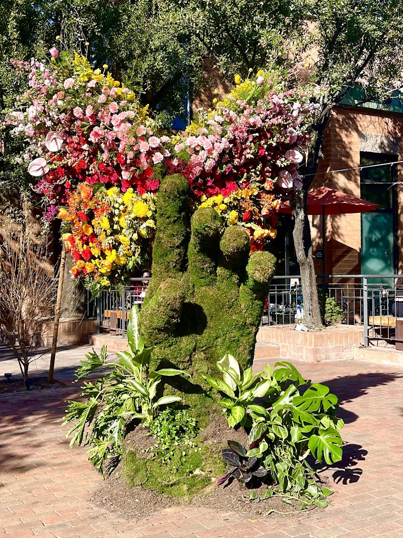 South Mill Avenue - South Mill Avenue, S Mill Ave, Tempe, AZ, USA