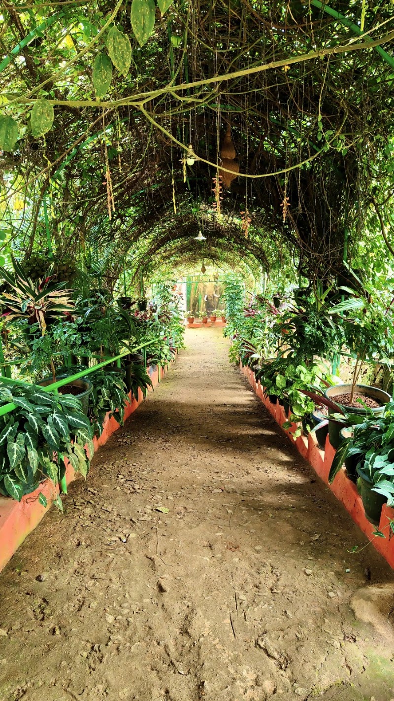 Chasam Ayurvedic & Spices Garden - Chasam Ayurvedic & Spices Garden Vythiri -Tharuvana Rd, Vythiri, Kunnathidavaka, Kerala 673576, India