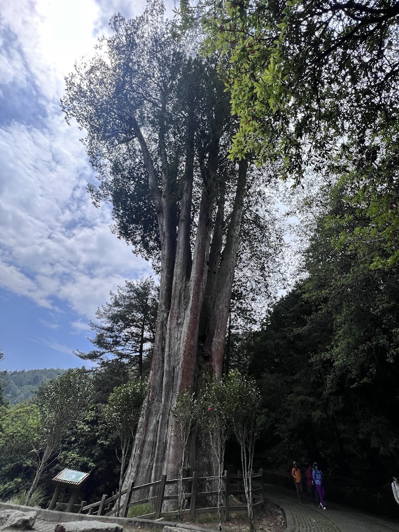 Daxueshan (Babo Rinisan) - Daxueshan (Babo Rinisan), Heping District, Taichung City, Taiwan 424