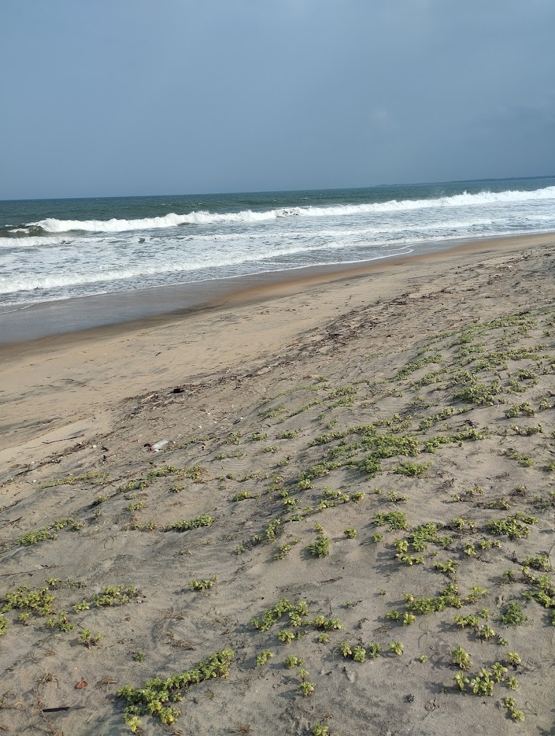 Black Beach