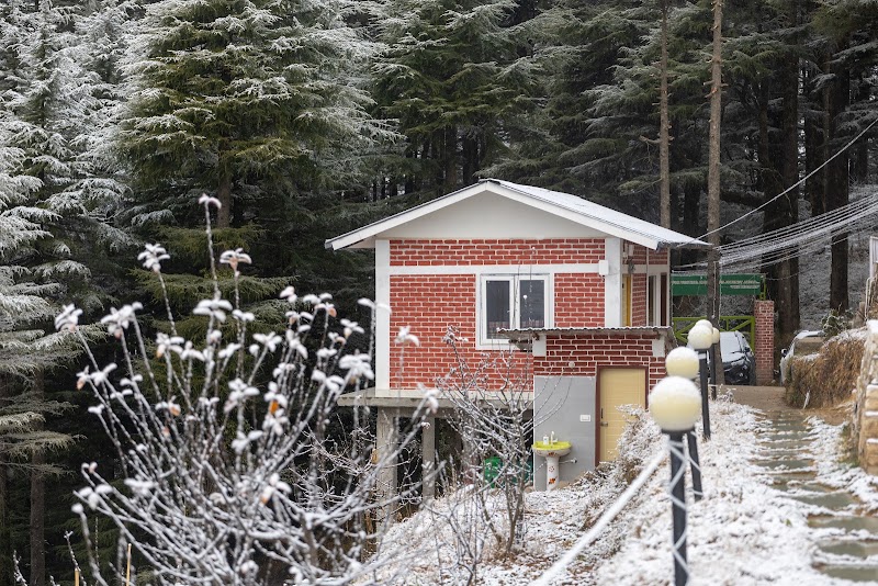 The Deodar stay & dine - The Deodar stay & dine, Kanatal, Kaudia Range, Uttarakhand 249145, India