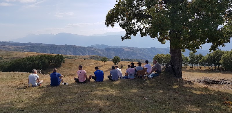 Drive Albania - Drive Albania, Rruga Jani Vreto 142, Tiranë 8150, Albania