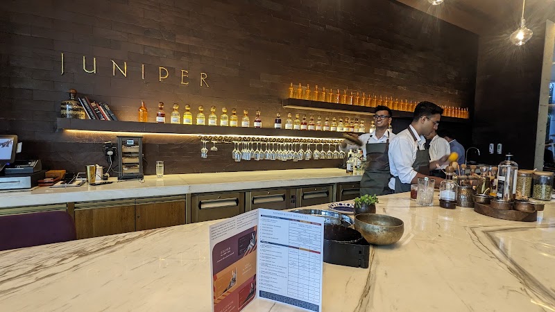 Juniper Bar - Andaz Delhi - Juniper Bar - Andaz Delhi Gin Bar at Andaz Delhi, H43C+VPM, Northern Access Rd, Aerocity, New Delhi, Delhi 110037, India