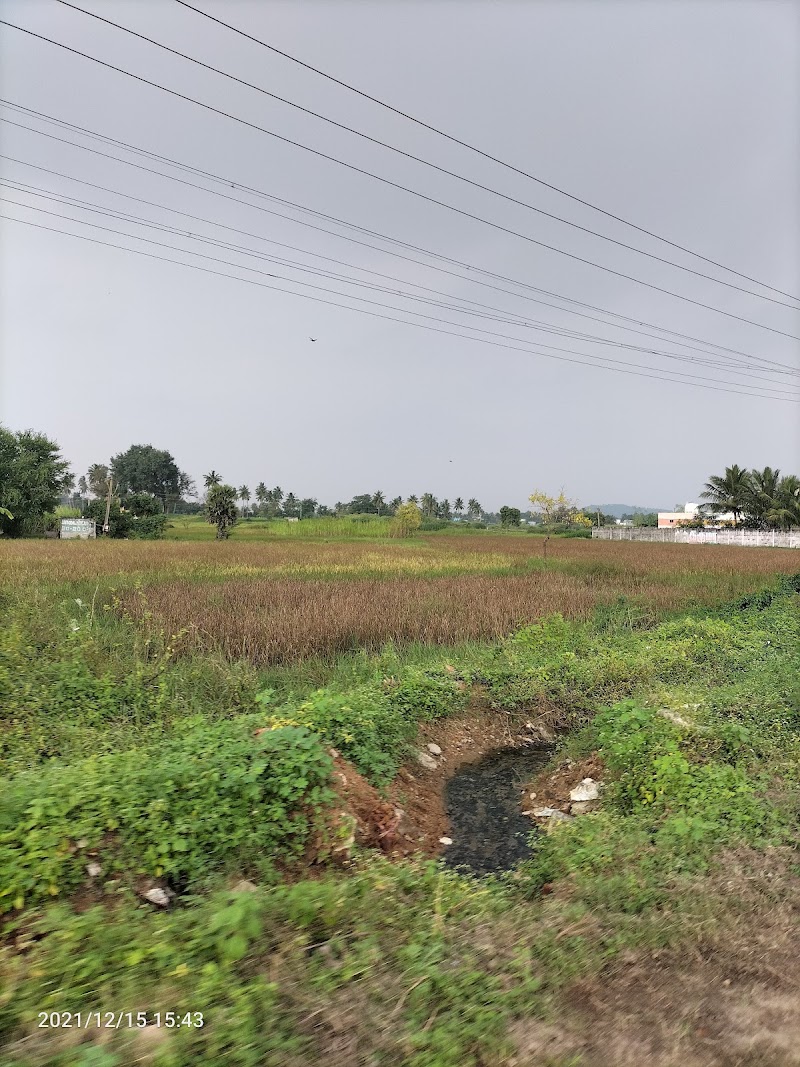 Katpadi Road - Katpadi Road Katpadi Rd, Vellore, Tamil Nadu, India
