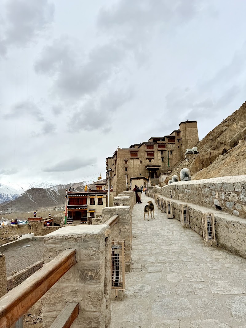Hotel Casa Ladakh - Hotel Casa Ladakh Upper Tukcha Rd, Leh, 194101