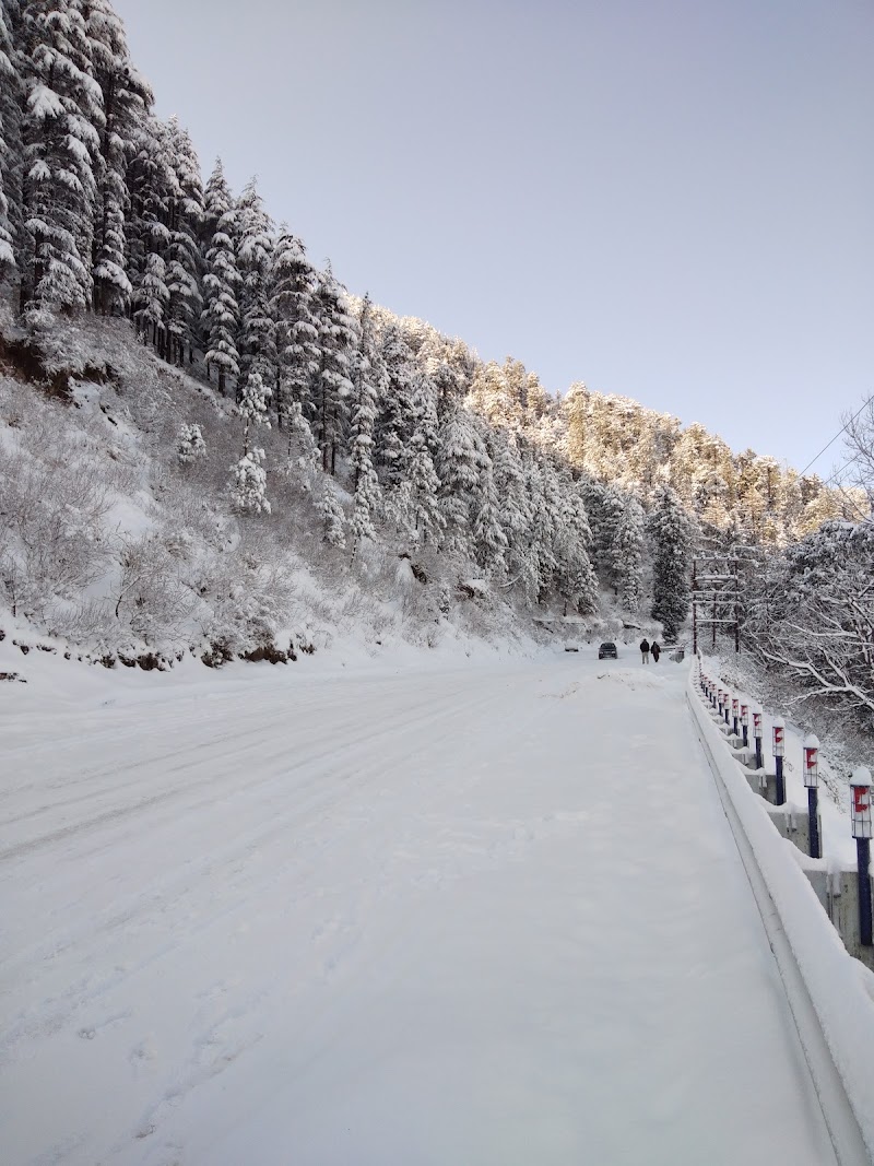 Hill View Home Stay - Hill View Home Stay, main bus stand fagu, 38Q4+428, Fagu, Himachal Pradesh 171209, India