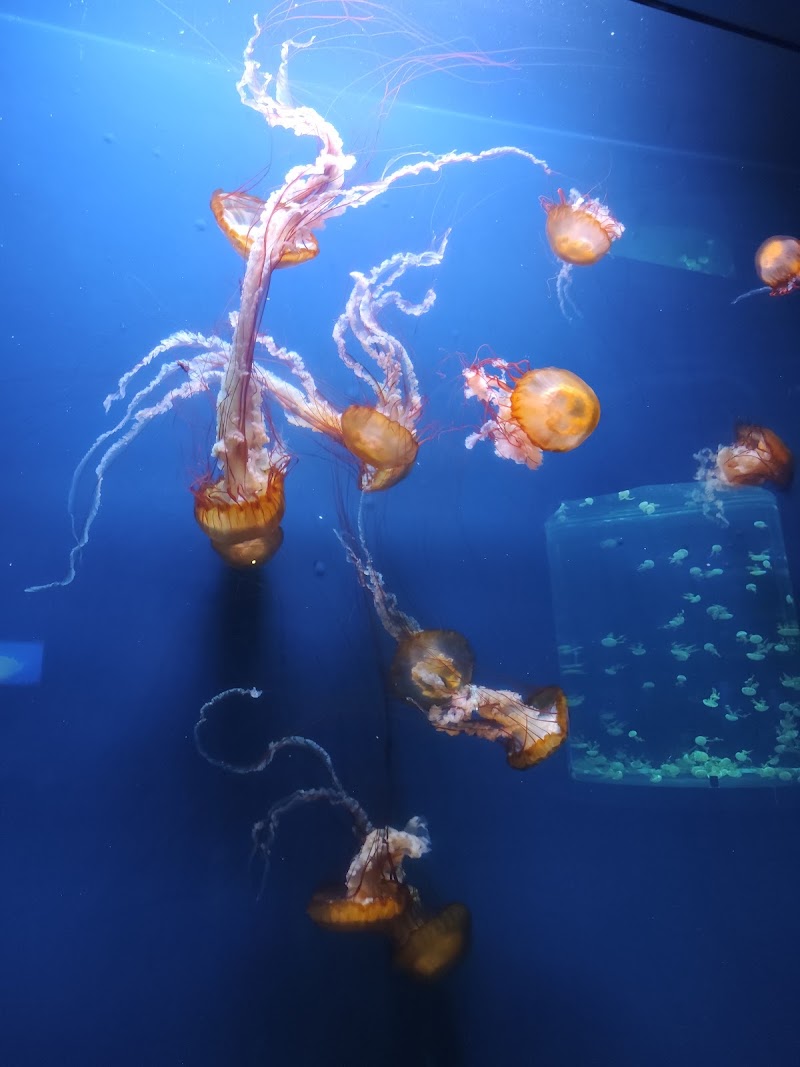 Sevilla Aquarium - Sevilla Aquarium Muelle de las Delicias, s/n, 41012 Sevilla, Spain