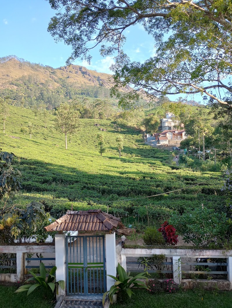 Peace Valley Homestay - Peace Valley Homestay Chithirapuram, Kerala 685565, India