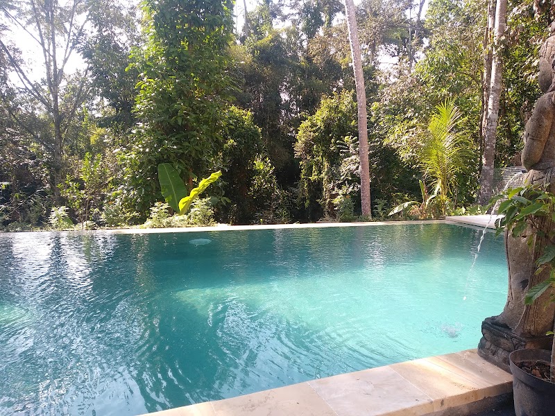 Green Jungle Ubud - Green Jungle Ubud, Jl. Raya Dr. Ir. Sukarno No.30, Pejeng, Kec. Tampaksiring, Kabupaten Gianyar, Bali 80552, Indonesia