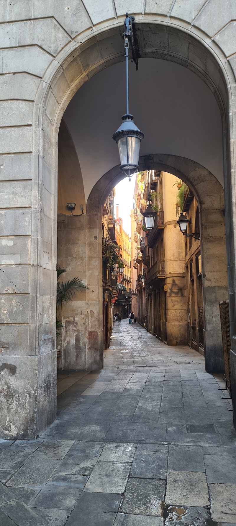 Free Walking Tours Barcelona - Free Walking Tours Barcelona, Pl. Reial, s/n, Ciutat Vella, 08002 Barcelona, Spain