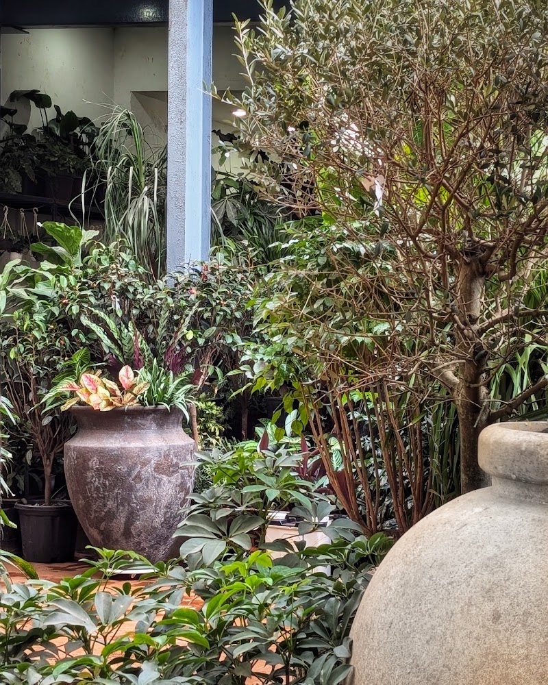 Plant People - Plant People Ground Floor, Raghuvanshi Mansion, Raghuvanshi Mills, Gandhi Nagar, Upper Worli, Worli, Mumbai, Maharashtra 400013, India