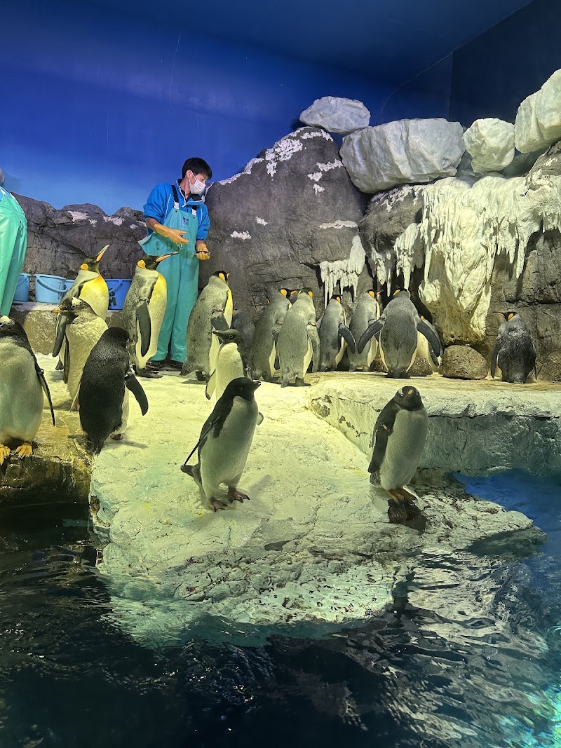 Osaka Aquarium Kaiyukan - Osaka Aquarium Kaiyukan 1-chōme-1-10 Kaigandōri, Minato Ward, Osaka, 552-0022, Japan