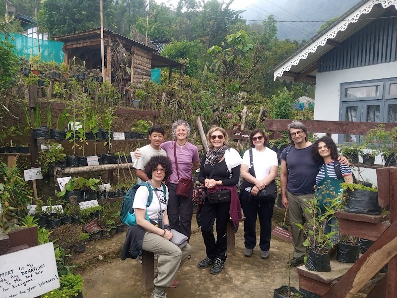Darap Village Walk - Darap Village Walk Pelling-Rimbi Rd, Darap, Sikkim 737113, India