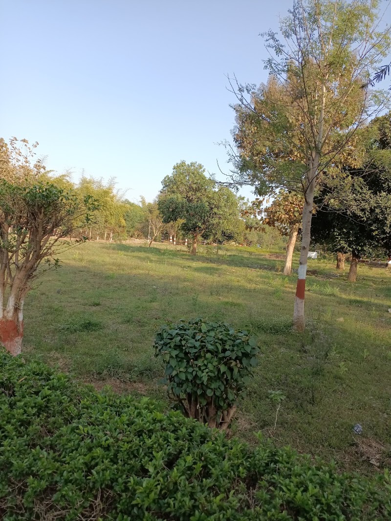 Mana Nursery - Mana Nursery, 5P7P+M5F, Mana, Atal Nagar-Nava Raipur, Chhattisgarh 492016, India