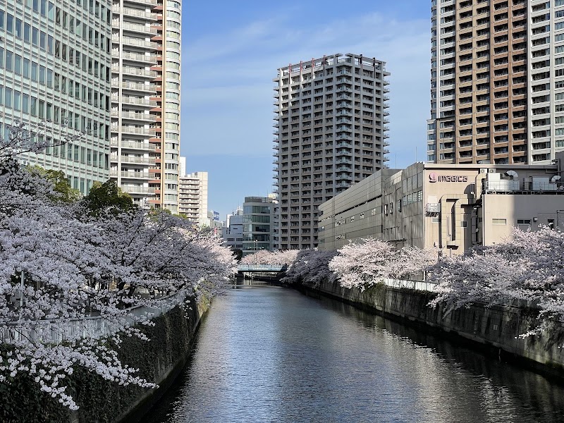 Gotanda Waterfront Plaza - Gotanda Waterfront Plaza, 2-chōme-9-11 Higashigotanda, Shinagawa City, Tokyo 141-0022, Japan