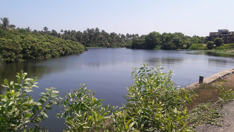Poovar boat service