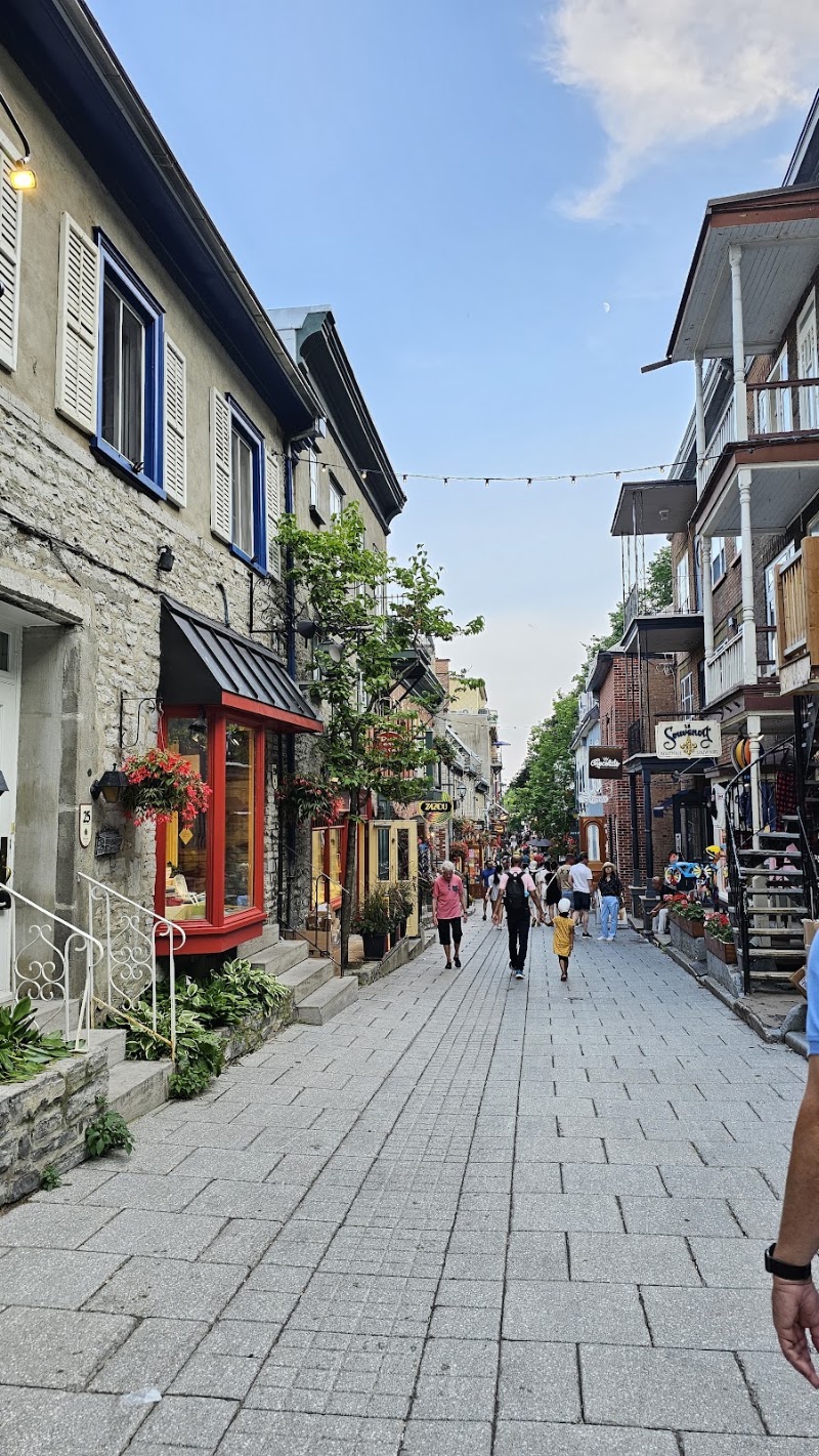 Place Royale - Place Royale, 2-4 Rue des Pains Bénits, Ville de Québec, QC G1K Rue des Pains Bénits, Québec, QC G1K 4E9, Canada