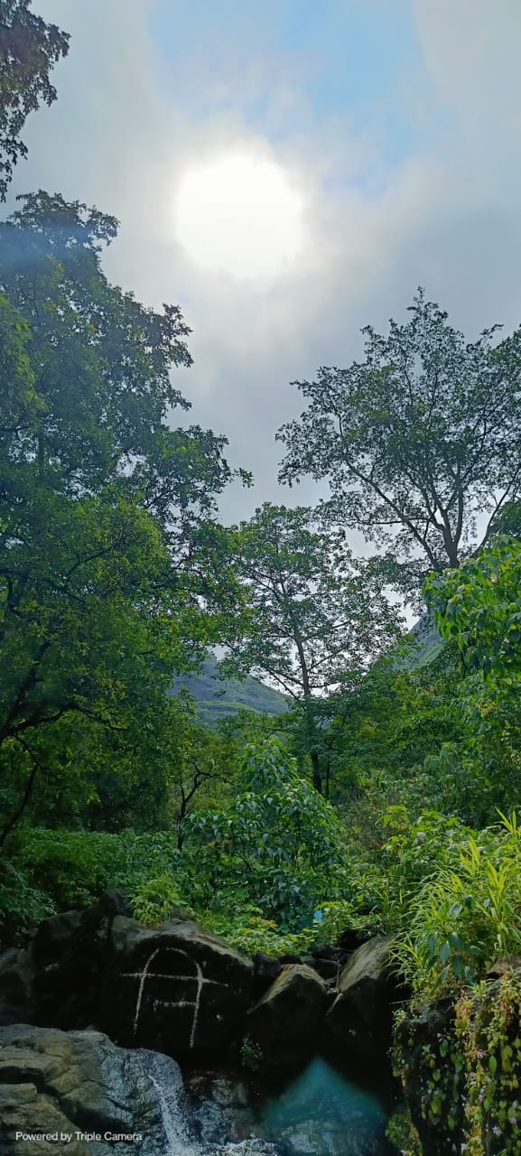Bhimashankar - Bhimashankar, Maharashtra, India
