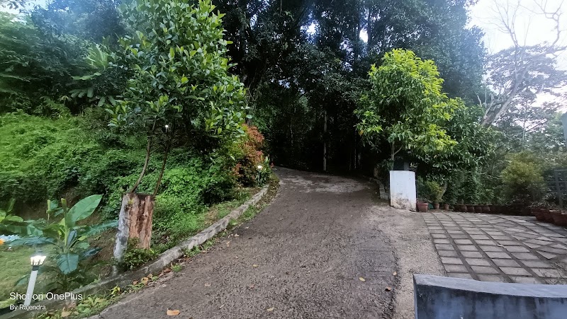 The serene park Munnar - The serene park Munnar eattycity road, Munnar, Anachal, Kerala 685565, India