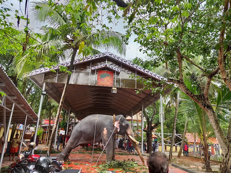 Sree Maha Ganapathi Temple, Panangad - Sree Maha Ganapathi Temple, Panangad W83C+J8G, Panangad, Ernakulam, Kochi, Kerala 682506, India