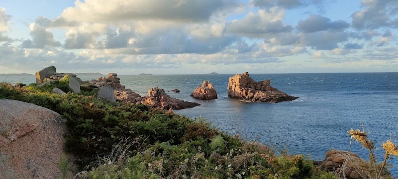 Lande de Bringwiller - Lande de Bringwiller, 51 Rte de Bringuiller, 22560 Trégastel, France