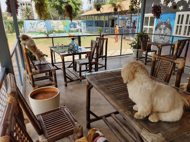Wille's Pet Paradise