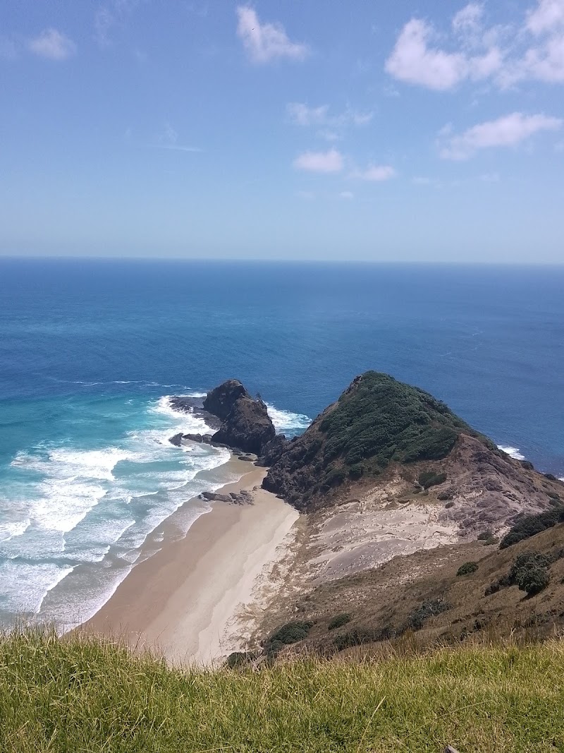 Mullarkey Tours - Mullarkey Tours 69 Marsden Road, Paihia 0200, New Zealand