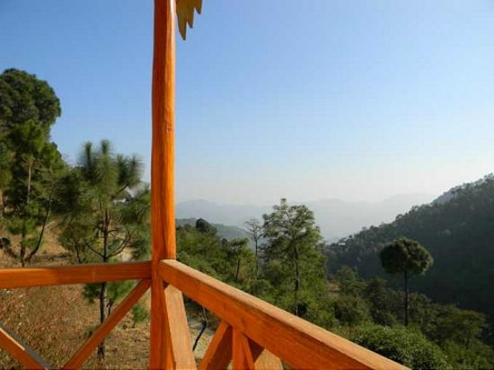 VAYDIC RESORT YOGA RETREAT - VAYDIC RESORT YOGA RETREAT nandoh road, Kasauli, Himachal Pradesh 173204, India