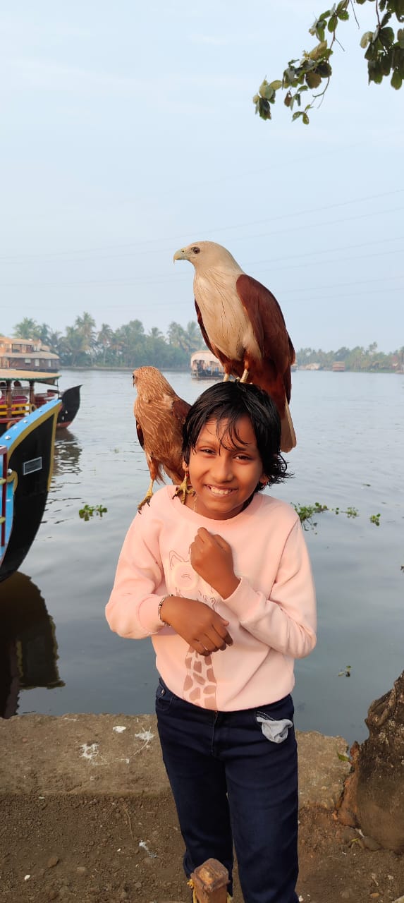 Alleppey Backwaters - Alleppey Backwaters F8XQ+6GH, Erezha, Mullakkal, Alappuzha, Keralam 688001, India