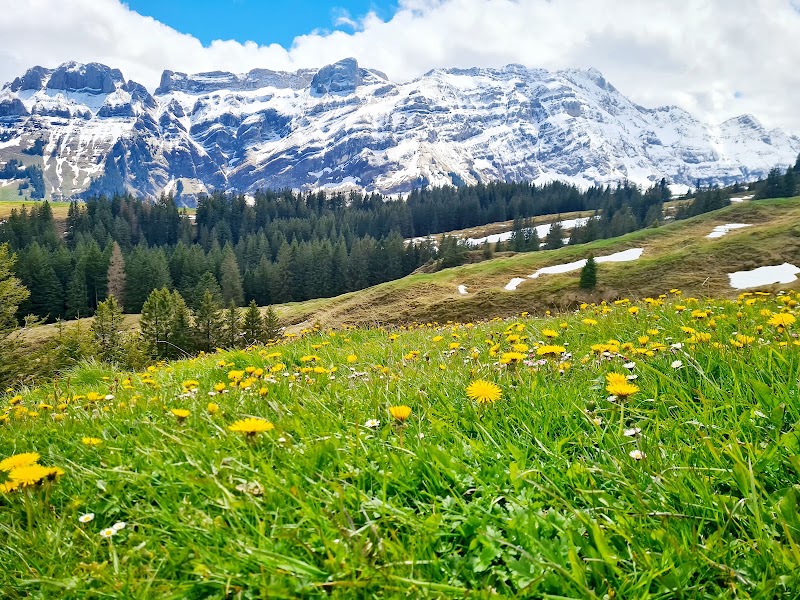 Campingplatz St.Gallen-Wittenbach - Campingplatz St.Gallen-Wittenbach Lee 1286, 9304 Waldkirch, Switzerland