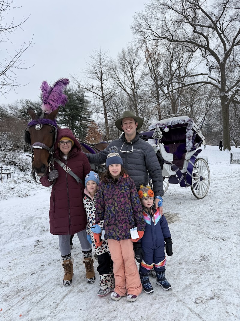 NYC Central Park Horse Carriage Rides since 1858 - NYC Central Park Horse Carriage Rides since 1858 7th Ave & 59th Street, 180 Central Park S Drive, New York, NY 10019, USA
