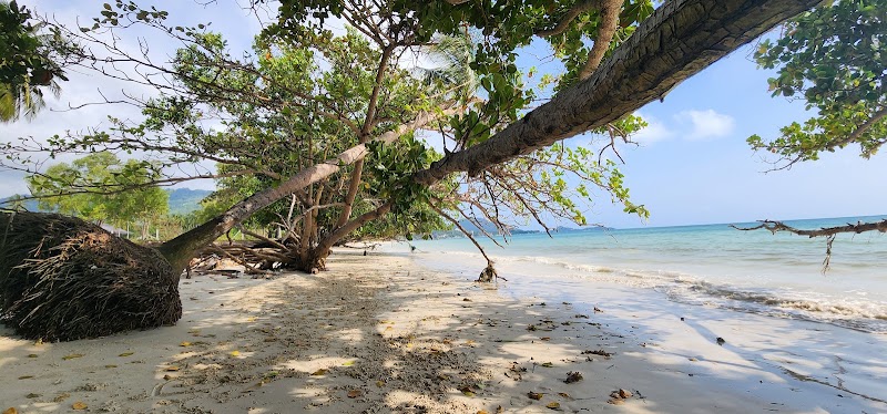 Koh Samui, Surat Thani - Koh Samui, Surat Thani, C2WF+2M9, Maret, Ko Samui District, Surat Thani 84310, Thailand