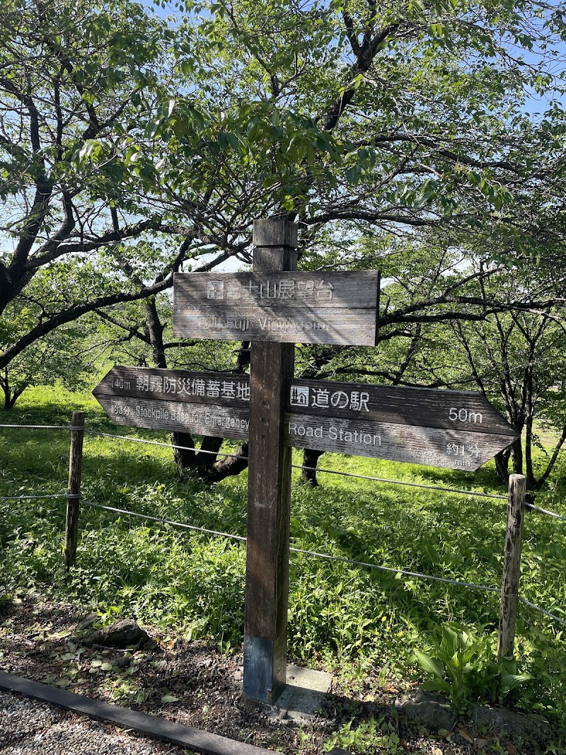 Mt. Fuji viewpoint - Mt. Fuji viewpoint 492 Nebara, Fujinomiya, Shizuoka 418-0101, Japan