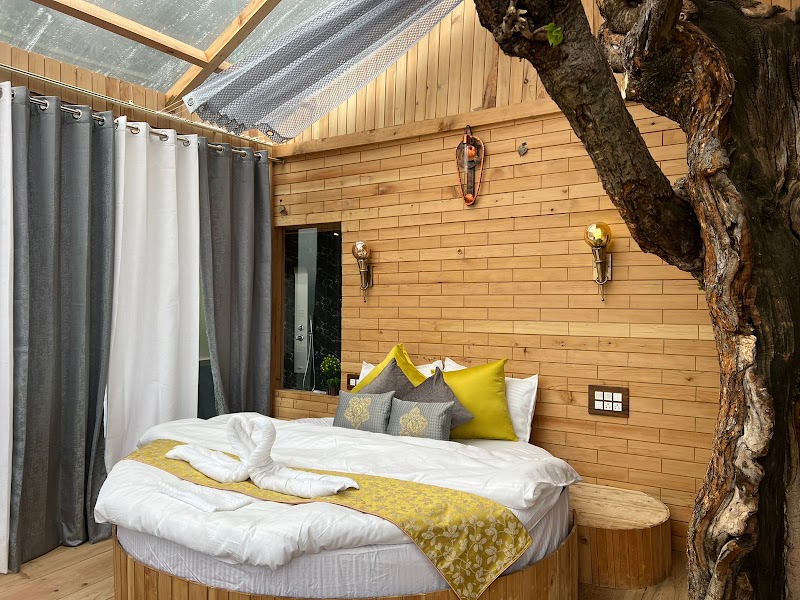 Cloud Walk Treehouse (Jibhi | Tandi) - Cloud Walk Treehouse (Jibhi | Tandi) Cloudwalk Treehouse, Vill Bhua, P.O, Tandi, Jibhi, Himachal Pradesh 175123, India