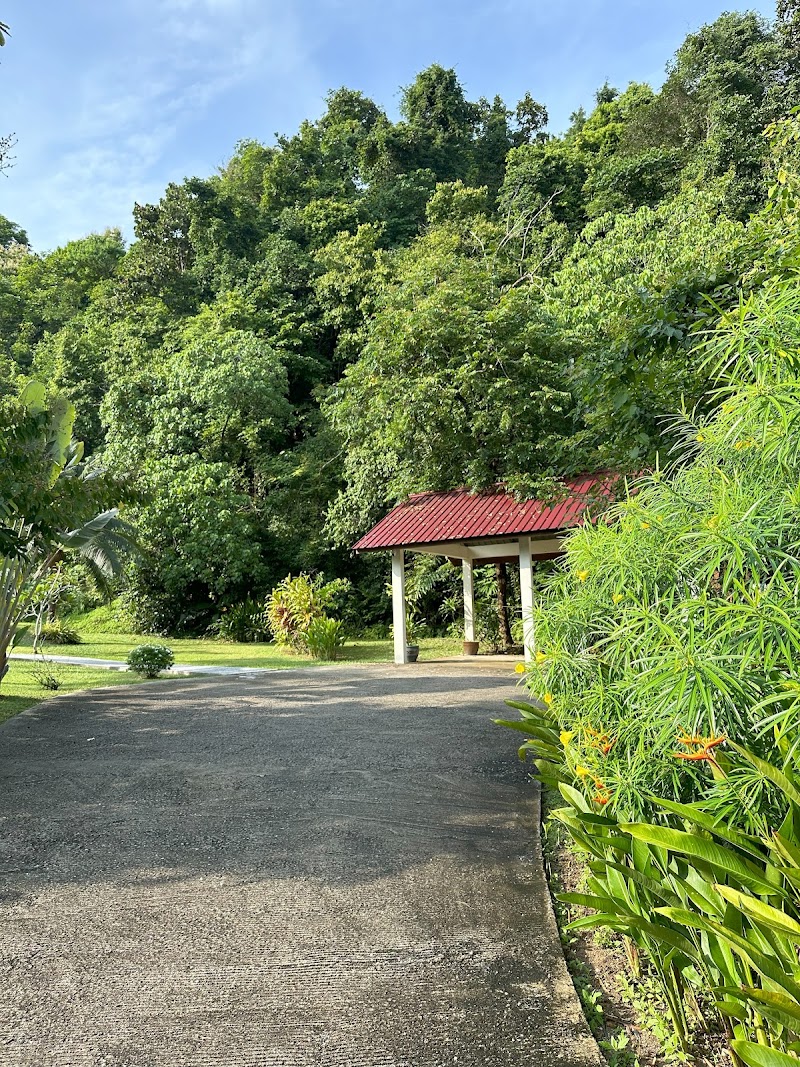 Villa Meranti Langkawi - Villa Meranti Langkawi, Lot 81, Seksyen 3, Kampung Tasik Anak Besar, 07000 Langkawi, Kedah, Malaysia