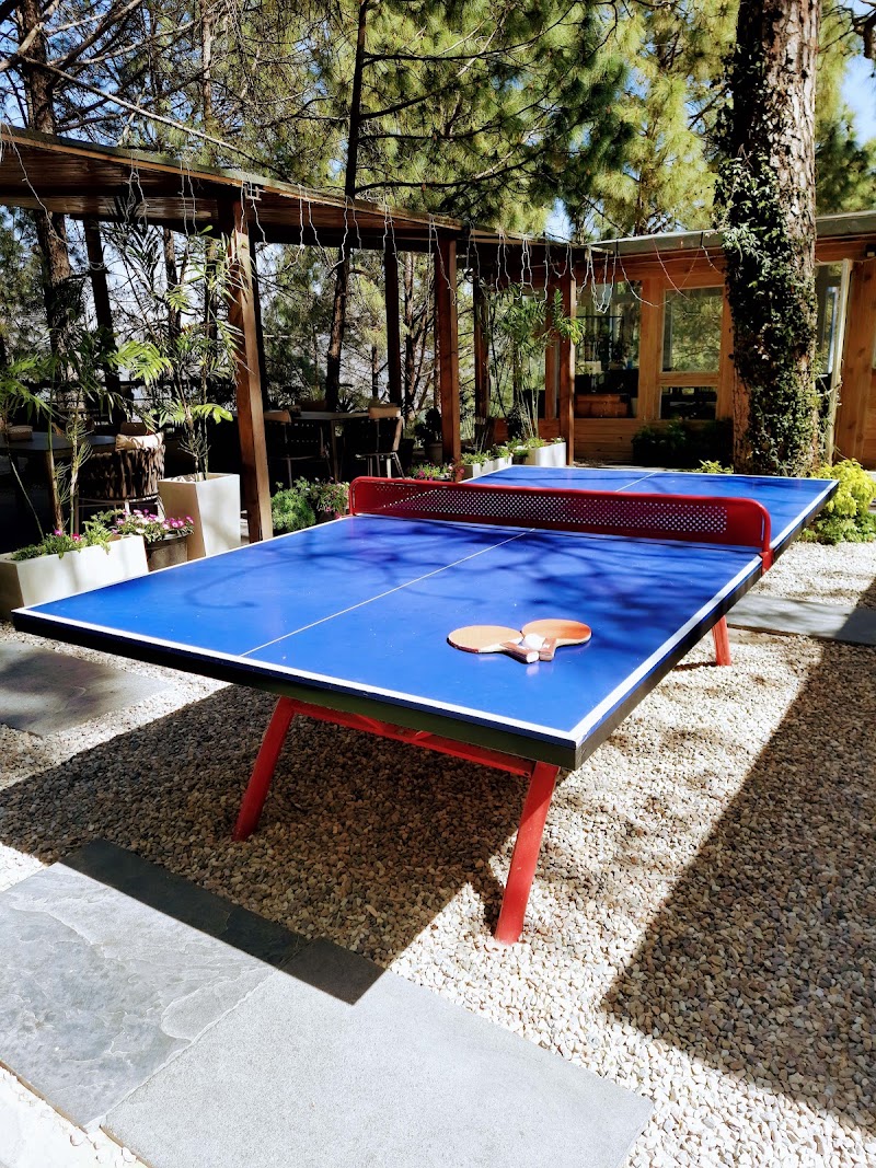 Kasauli Hills Resort - Best Luxury Resort and Hotel - Kasauli Hills Resort - Best Luxury Resort and Hotel Kasauli, Garkhal Kanda Road Kharog, Distt, Tehsil, Kasauli, Himachal Pradesh 173201, India