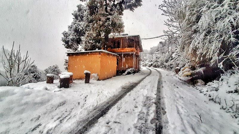 Tirthan Ecostay - Tirthan Ecostay Post office, Road, Kulthi, Pekhri, Gushaini, Himachal Pradesh 175123, India