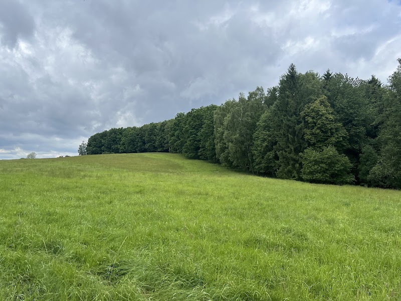 Mezní Louka / Rainwiese Parking Lot - Mezní Louka / Rainwiese Parking Lot, 25861, 405 02 Hřensko-Děčín 2, Czechia