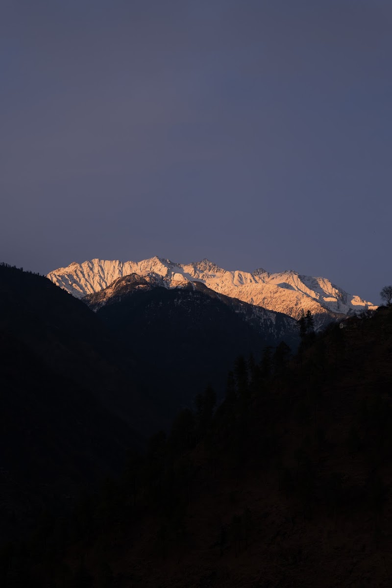 The Social Stays Tirthan - The Social Stays Tirthan, Gushaini, Himachal Pradesh, India, 175123 Gurshaini, Sharchi, Himachal Pradesh 175123, India