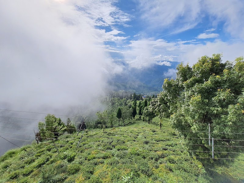 Eagle's Crag - Eagle's Crag, Kurseong, West Bengal 734203, India