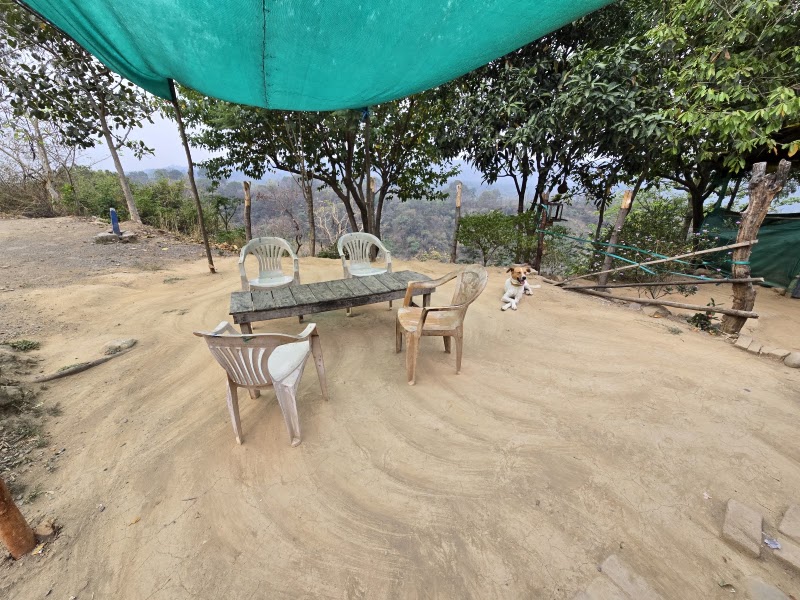 Sunset view tea shop - Sunset view tea shop, 9QXJ+6X5, Hara, Punjab 145002, India