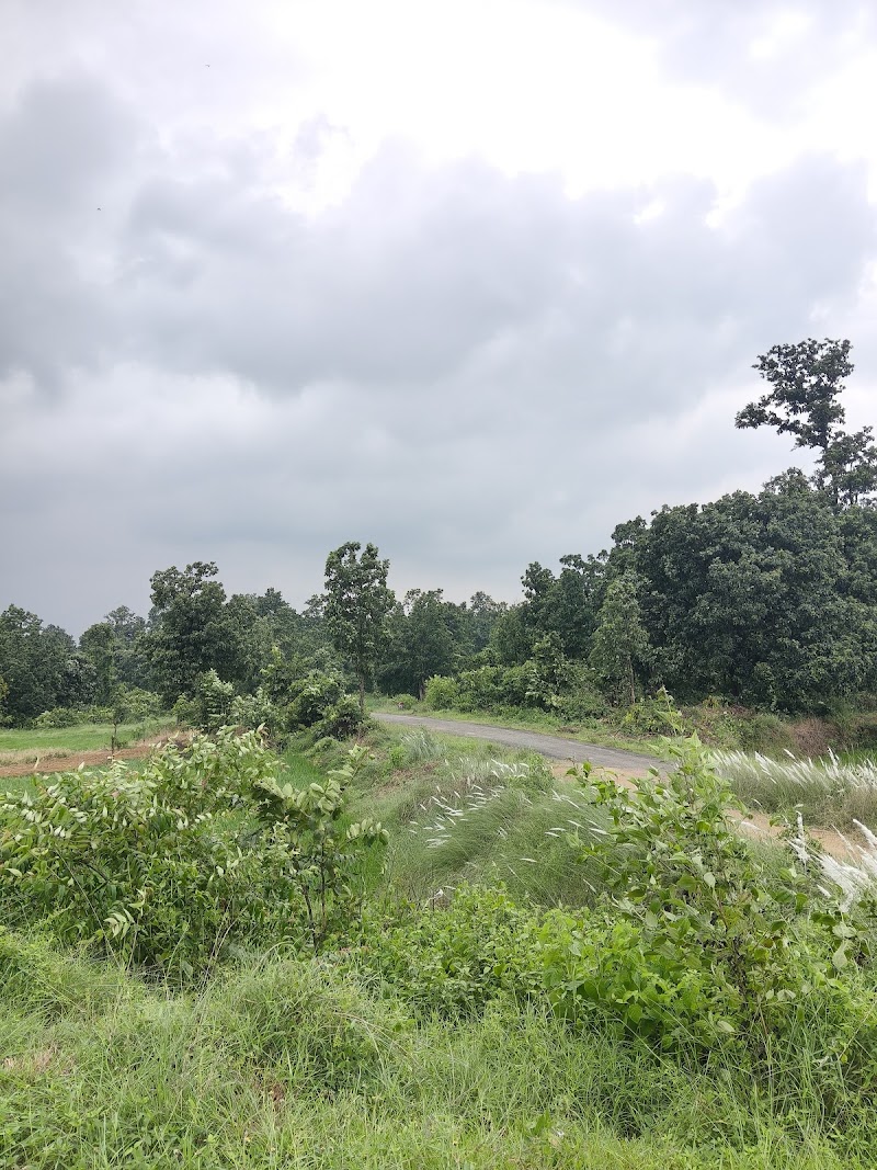 Tikamuda Kata - Tikamuda Kata, 9576+F4J, Nuabarangamal, Odisha 768112, India