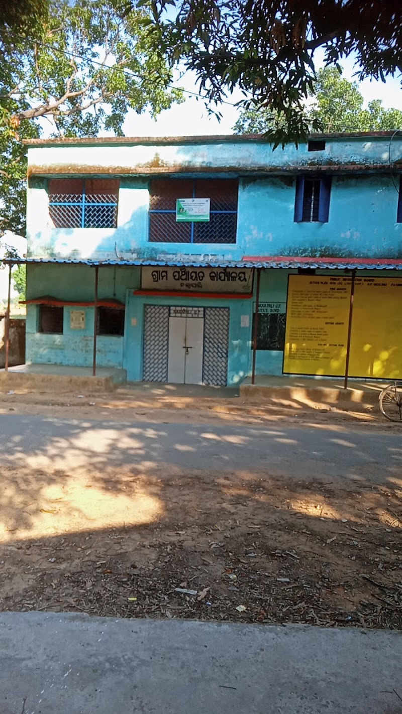 Panchayat Naxapali - Panchayat Naxapali, W53G+CV2, Naksapali, Odisha 768220, India
