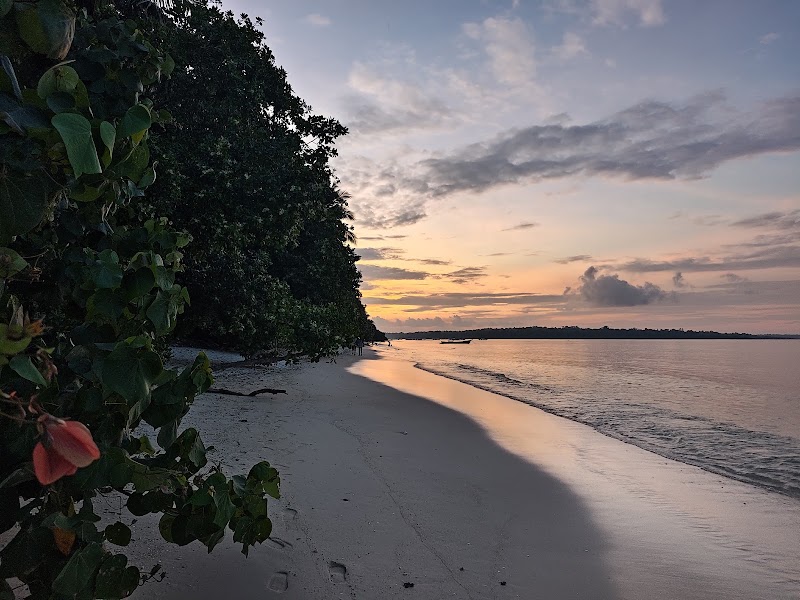 Full Moon Cafe - Full Moon Cafe Havelock no. 3, Andaman and Nicobar Islands 744211, India
