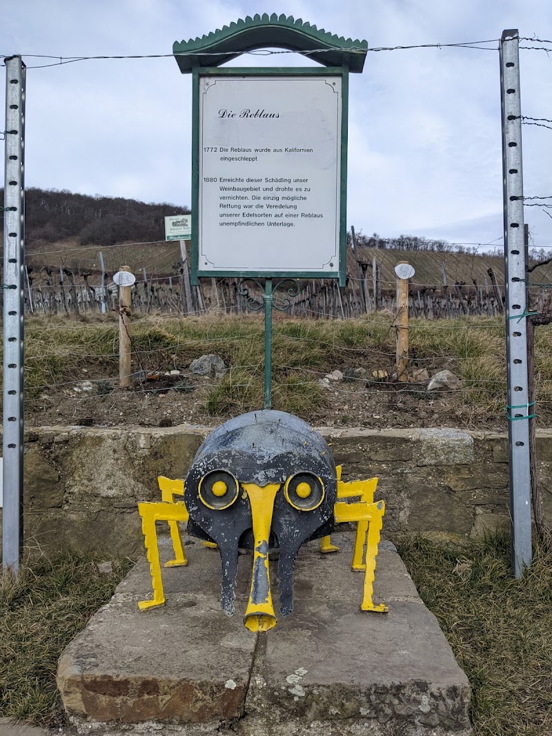 Neustift am Walde