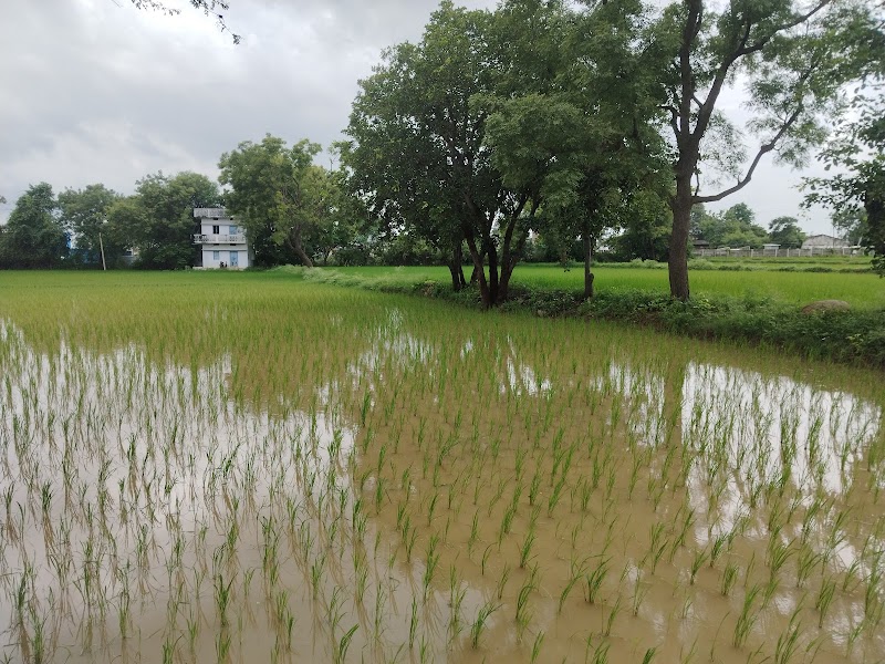 By-Pass Road - By-Pass Road, Christianpally, Mahbubnagar, Yenugonda Rural, Telangana 509002, India