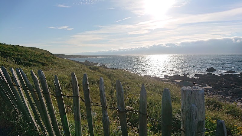 Lande de Bringwiller - Lande de Bringwiller, 51 Rte de Bringuiller, 22560 Trégastel, France