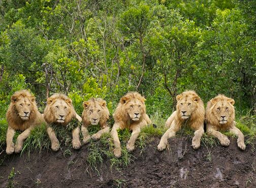 Musina Nature Reserve - Musina Nature Reserve, Musina, South Africa