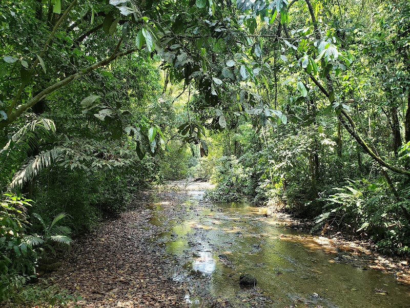 Parque Nacional Carara - Parque Nacional Carara, Q9JV+FJ4, Puntarenas Province, Tarcoles, Costa Rica