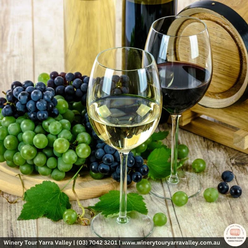 Winery Tour Yarra Valley - Winery Tour Yarra Valley, Unit 201/98 River Esplanade, Docklands VIC 3008, Australia